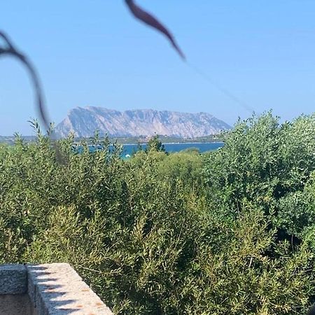 La Cinta Βίλα San Teodoro  Εξωτερικό φωτογραφία