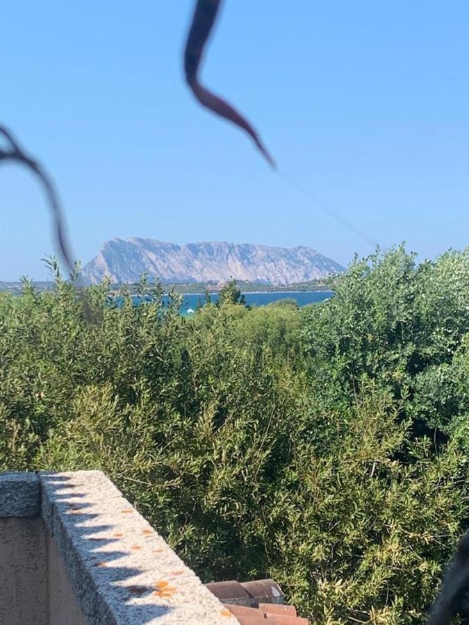 La Cinta Βίλα San Teodoro  Εξωτερικό φωτογραφία